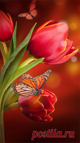 (26) Pinterest