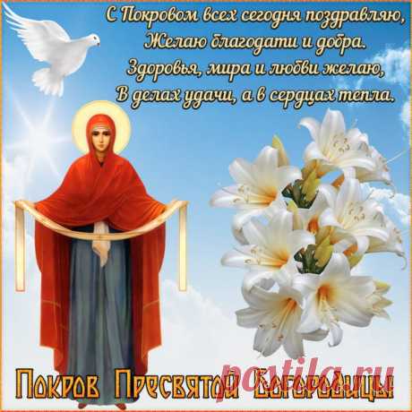 В непростом этот мире суровом,
Где сражаются темень и свет,
Богородица светлым покровом
Защитит от болезней и бед.