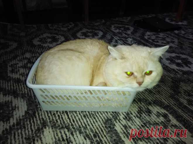 Щека не поместилась