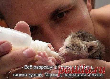 Забота - это бесценно