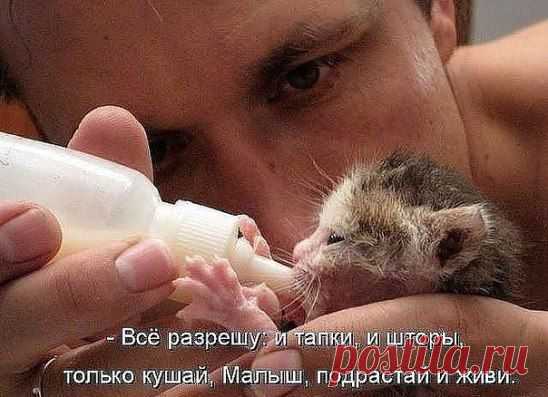 Забота - это бесценно