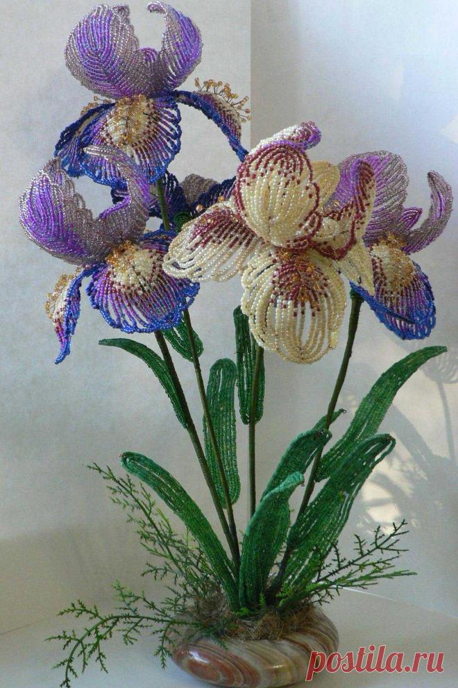 Ирис из бисера Всё из бисера и о бисере плетём и вышиваем. Учимся плести и вышивать бисером, уроки и техники бисероплетения, мастер классы, схемы для вышивания бисером