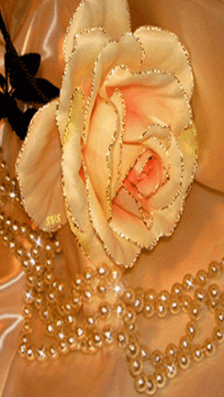 Живые фотографии – Сообщество – Google+