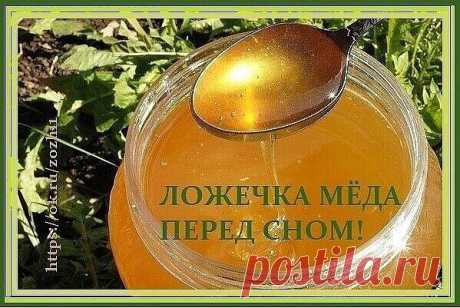 Ложечка мёда перед сном - в обязательном порядке! Вот для чего...