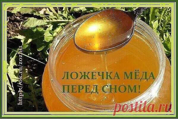 Ложечка мёда перед сном - в обязательном порядке! Вот для чего...