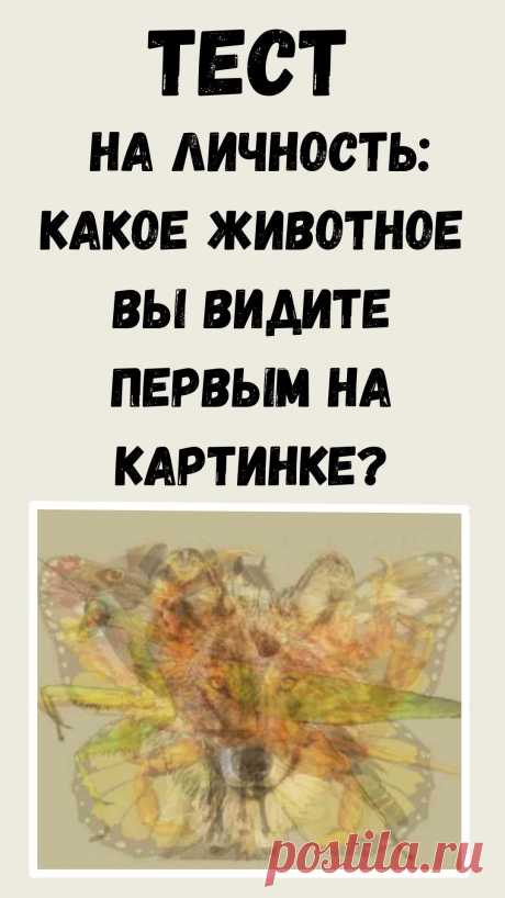 Какое животное вы видите первым, когда смотрите на картинку? Подтвердите или опровергните результат.