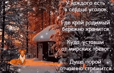 …предзимье… …отрешённость…