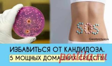 Избавиться от кандидоза. 5 мощных домашних средств! Избавиться от кандидоза помогут 5 мощных домашних средств! Быстрый и на 100% эффективный результат! Будьте осторожны! Как только грибки кандиды попадут в Избавиться от кандидоза помогут 5 мощных домашних средств. Быстрый и на 100% эффективный результат. 100% результат.