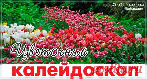 Луковичные для весеннего цветника – что посадить и как скомпоновать Содержание ✓✓ Экзотический колорит✓ Правильные условия для луковичных✓ Луковичные – особый уход✓ Забота о луковицах✓ Природный стиль✓ Боремся с самосевом у луковичных✓ ПОСАДКА ЛУКОВИЧНЫХ ЦВЕТОВ – ВИДЕО Весенний цветник из луковичных своими руками Последний месяц весны – это пора тюльпанов. Немногие садовые цветы могут посоревноваться с ними в разнообразии форм и оттенков. Они прекрасно смотрятся …