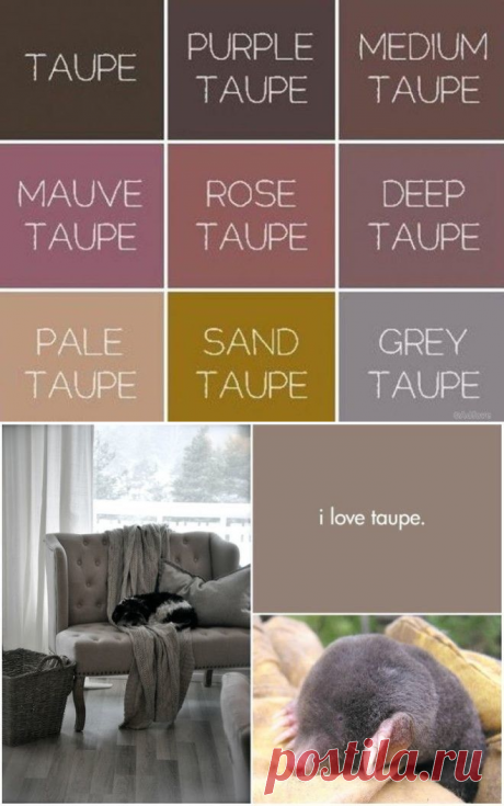 Хит 2018 года — Тауп: цвет, который вскружит голову миллионам модниц