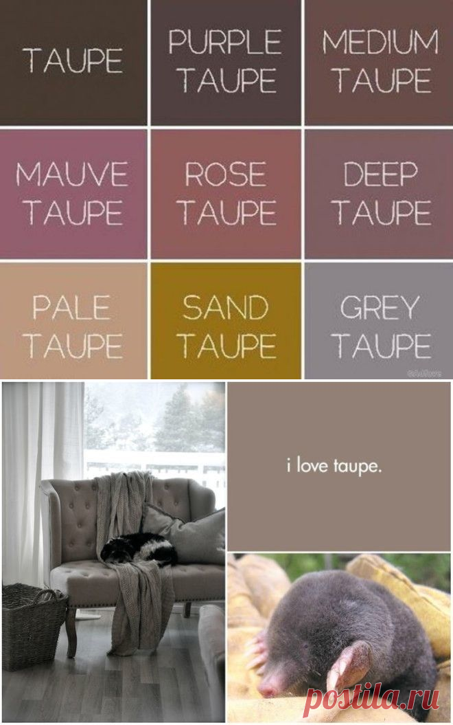 Хит 2018 года — Тауп: цвет, который вскружит голову миллионам модниц