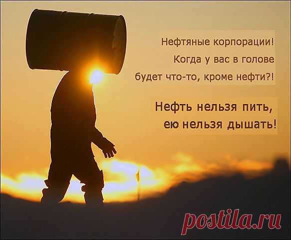 Нефтедобывающие компании намереваются устроить экологическую катастрофу в Арктике. Да еще и за наш с вами счет: Газпром и Роснефть требуют предоставить им огромные льготы для освоения шельфа. А ведь эти деньги могли бы пойти на зарплаты врачам и учителям! Но они могут достаться нефтяным корпорациям. Не молчи, действуй!