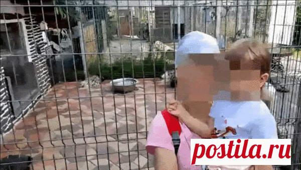 Как скрыть лица людей на видео | анонимная камера на телефон | (не)Честно о технологиях* | Дзен