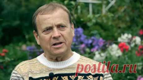 Фильм 2013 - «Воля Вселенной» https://youtu.be/-8t2ZUeWPXI