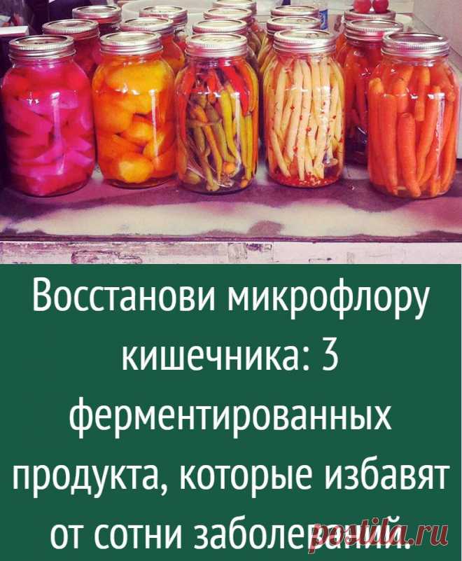 Восстанови микрофлору кишечника: 3 ферментированных продукта, которые избавят от сотни заболеваний.