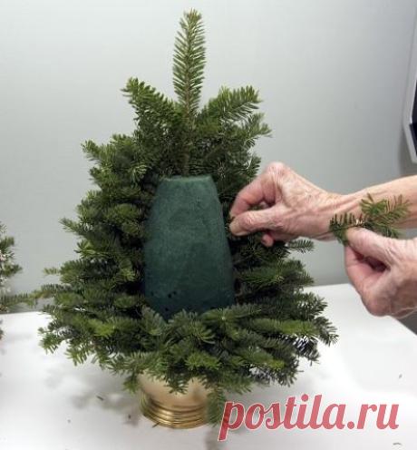 САМ СЕБЕ ДИЗАЙНЕР
Ирина Соломахина