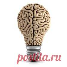 7 причин, из-за которых ваш мозг отказывается работать Если вы думаете, что прокачивать нужно исключительно своё тело, то вы очень ошибаетесь, ведь за всё в нашем организме отвечает именно мозг и даже за пресловутые мышцы, которым он подаёт импульс к накачиванию. Если вы пренебрегаете принципами, которые должны помогать вашему мозгу активно...