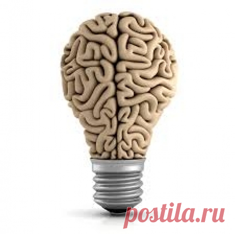7 причин, из-за которых ваш мозг отказывается работать Если вы думаете, что прокачивать нужно исключительно своё тело, то вы очень ошибаетесь, ведь за всё в нашем организме отвечает именно мозг и даже за пресловутые мышцы, которым он подаёт импульс к накачиванию. Если вы пренебрегаете принципами, которые должны помогать вашему мозгу активно...