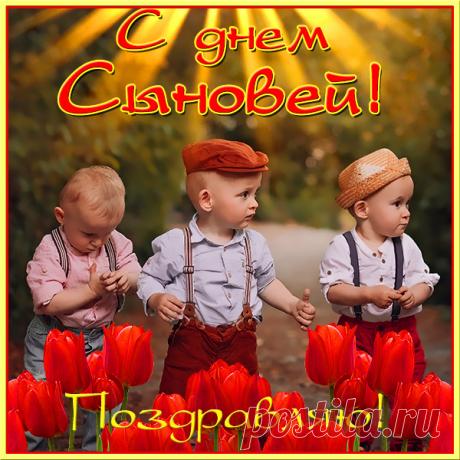 От всего сердца я поздравляю тебя с Днем сыновей! Будь примером для окружающих, воплощай свои мечты, реализуй всё намеченное. Открытки День сыновей!