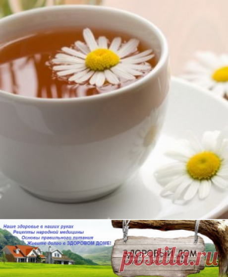 Здравствуйте! С Вами блог &quot;Здоровый дом&quot;. Лечение ромашкой - nimfa58@mail.ru - Почта Mail.Ru
