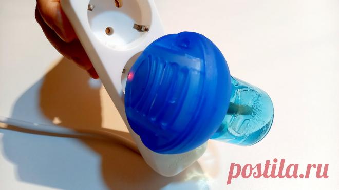 Чем заполнить это приспособление, чтобы за считанные минуты изничтожить даже целые полчища комаров, мух, моли и любых насекомых | Грузинская Кухня от Софии | Яндекс Дзен