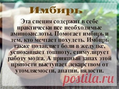 ⇩ ⇩ ⇩ ⇩ ⇩ ⇩ ⇩ ⇩ ⇩ ⇩ ⇩Польза специй⇩ ⇩ ⇩ ⇩ ⇩ ⇩ ⇩ ⇩ ⇩ ⇩ ⇩