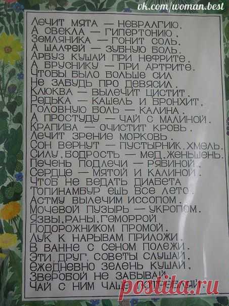 Идеальная Хозяюшка
