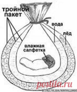 КАК СОХРАНИТЬ ОТОРВАННУЮ КОНЕЧНОСТЬ. 

Если вдруг произошел несчастный случай, и у вас что-то отвалилось - без паники. 

В настоящее время можно пришить практически любые конечности и их сегменты — кисти, стопы, пальцы. Но возможна также реплантация скальпа, носа, ушной раковины, полового члена и др. 
Одним из самых важных и часто задаваемых вопросов является вопрос о сроках в которые возможна реплантация. Для каждого сегмента эти сроки различны и зависят от уровня ампутац...