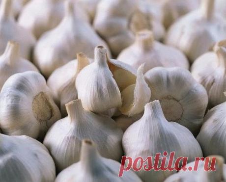 7 продуктов, которые очищают организм лучше, чем любые лекарства 
1. Красная свекла 
Это "чистильщик" организма №1. Во-первых, она содержит клетчатку , фосфор, медь, витамин С и ряд органических кислот, которые улучшают "движение" еды и уничтожает "плохие" гнилостные бактерии в кишечнике. Во-вторых, в ее состав входит липотропное вещество "бетаин", которое заставлять печень лучше избавляться от токсинов. А, в-третьих, свекла способствует омоложению организма за счет фолиевой кислоты (создается