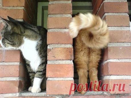 Зашёл на покраску.