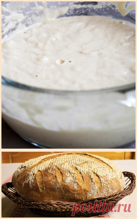 Закваска на кефире для бездрожжевого хлеба в домашних условиях
