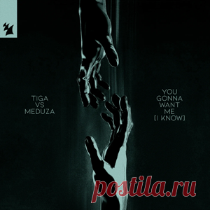 Tiga, Meduza - You Gonna Want Me (I Know) | 4DJsonline.com