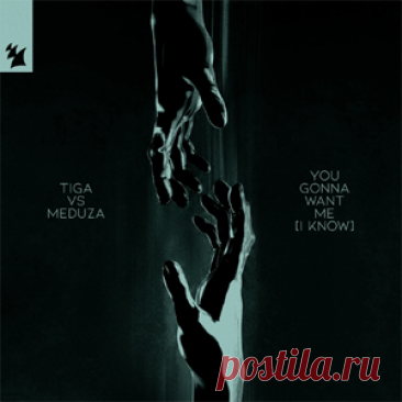 Tiga, Meduza - You Gonna Want Me (I Know) | 4DJsonline.com