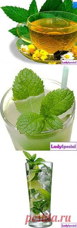 Применение мяты перечной - Женский журнал LadySpecial.ru
