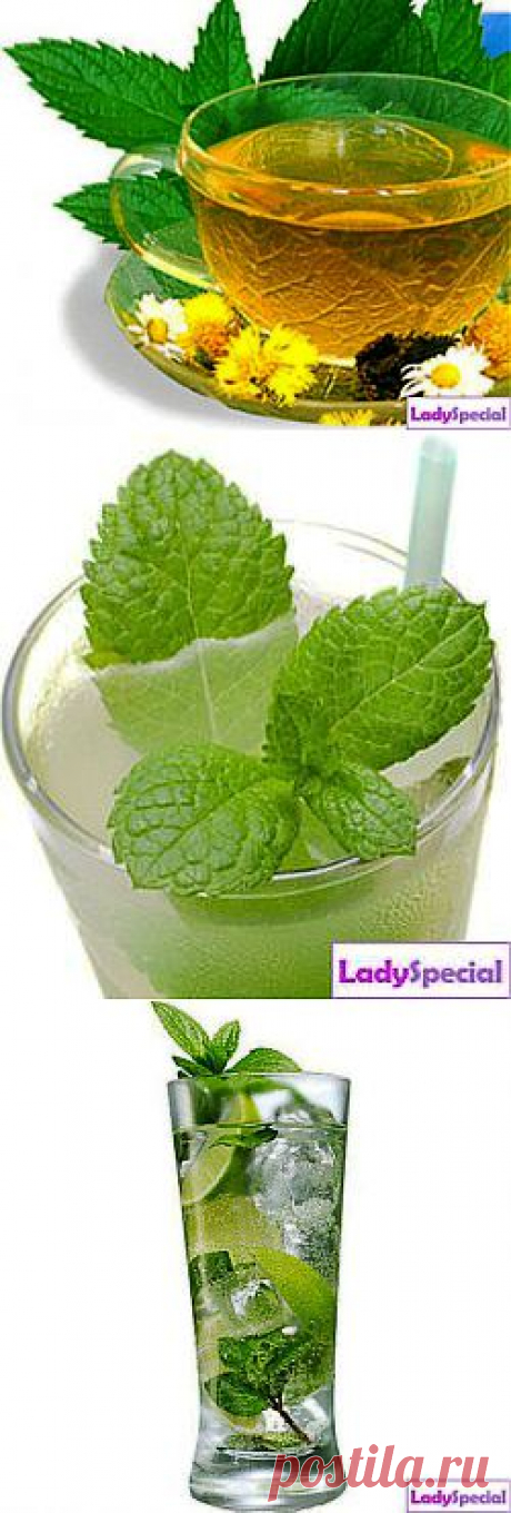 Применение мяты перечной - Женский журнал LadySpecial.ru