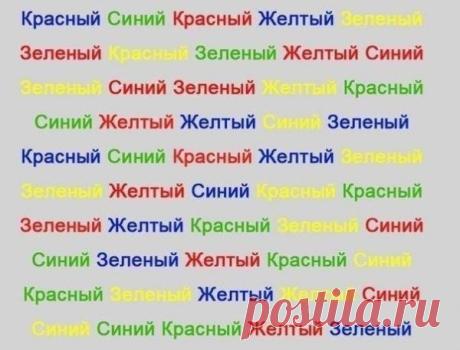 Тренажер для мозга / Абсолютное здоровье
