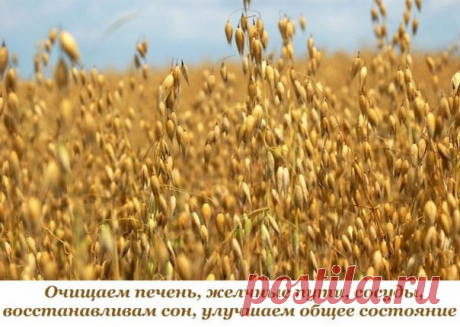 Очищаем печень, желчные пути, сосуды, восстанавливам сон, улучшаем общее состояние  / Слабый пол!
