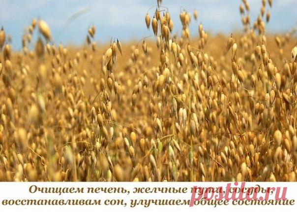 Очищаем печень, желчные пути, сосуды, восстанавливам сон, улучшаем общее состояние  / Слабый пол!