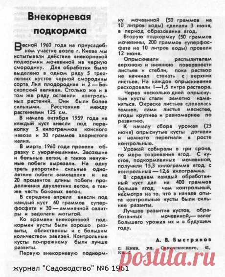 Внекорневая подкормка мочевиной черной смородины

| клубника на зиму