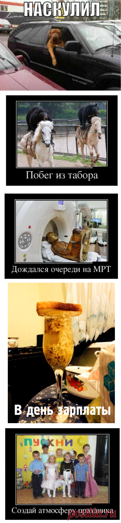Фото, которые поднимут вам настроение на весь день