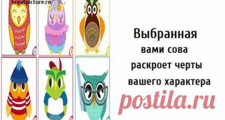 Выбранная вами сова раскроет черты вашего характера