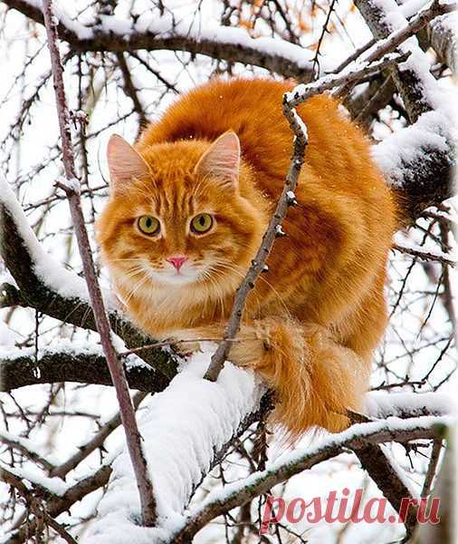 Мой Мир@Mail.Ru: Что нового