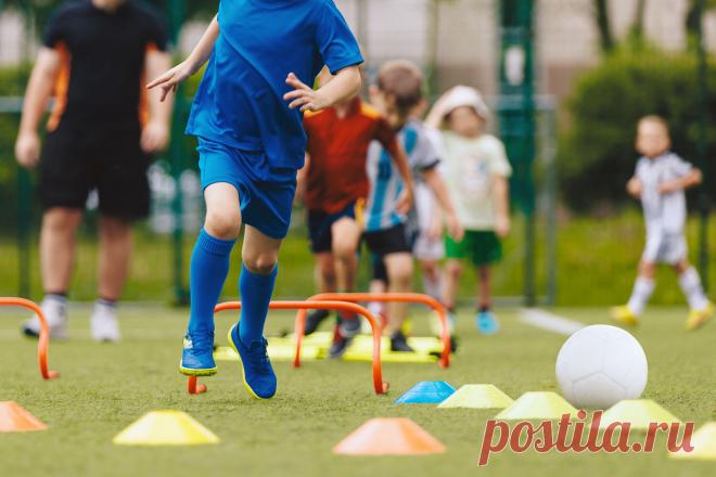 Ученые: Спорт повышает IQ детей на несколько пунктов Ученые из ведущих университетов Испании установили, что комплексы физических упражнений повышают IQ детей и подростков в среднем на четыре балла. Примерно такой же результат дает дополнительный год обучения.