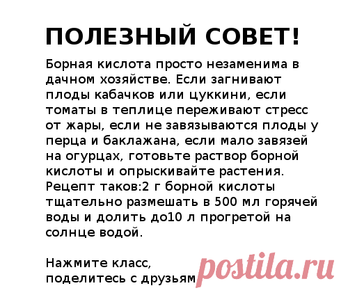 Одноклассники