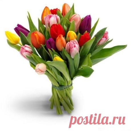 новость дня!