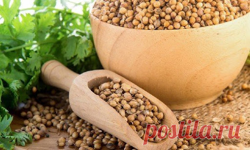 Как перезагрузить щитовидную железу при помощи семян кориандра всего за 8 дней — Сад Заготовка