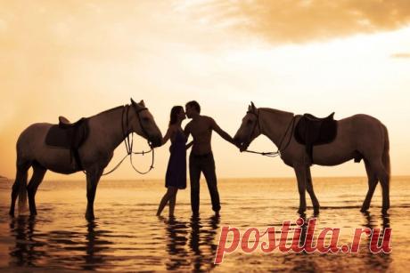 montar a caballo - Buscar con Google