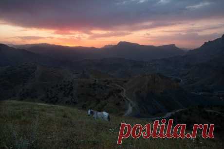 Лошадь на фоне заката в горах Дагестана, неподалеку от старинного аула Чох. Автор фото – Дмитрий Бардаков: nat-geo.ru/community/user/222190/