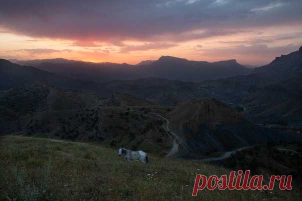 Лошадь на фоне заката в горах Дагестана, неподалеку от старинного аула Чох. Автор фото – Дмитрий Бардаков: nat-geo.ru/community/user/222190/