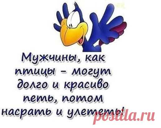 (5) Одноклассники
